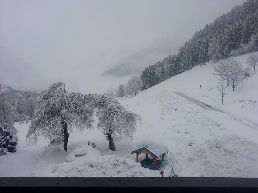 07- Dachstein, Bauernhaus, Abreise 137